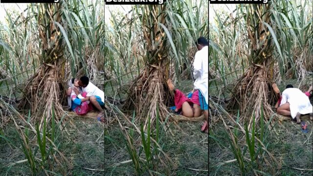 Pakistani uncle fucked young labor girl in farm, Leaked video